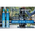 ふるさと納税 雑貨・日用品 岐阜県 土岐市 ソーダストリーム ガスシリンダー 新規購入用 60L 2本セット MDN003 ガスシリンダーの取り扱いについて確認しまし…