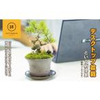 花 苗木 盆栽 デスクトップ盆栽 という新提案を四日市から