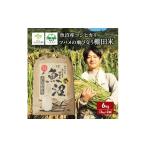 ふるさと納税 米 コシヒカリ 新潟県 魚沼市 No.5762-1146 令和7年産 新米先行受付 ツバメの飛び交う棚田米 精米6kg(3kg×2袋) 米 こめ お米 コメ こしひか…