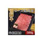 ふるさと納税 牛肉 焼肉・バーベキュー 岐阜県 養老町 飛騨牛 ロース焼肉500g 1046749