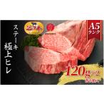 ステーキ 極上ヒレ 120g×2枚