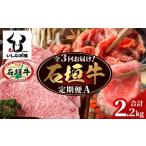 牛肉 ステーキ 全3回 定期便A 石垣牛特選