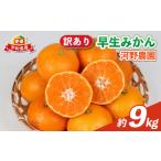 ふるさと納税 みかん・柑橘類 愛媛県 宇和島市 訳あり 早生 みかん 9kg 河野農園 温州みかん 早生みかん 早生温州 温州 蜜柑 mikan 愛媛みかん 愛媛蜜柑 愛媛…
