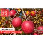 ふるさと納税 りんご 山形県 朝日町 先行予約 りんご サンふじ 秀 5kg 16〜20玉 2025年12月上旬発送 農家直送 山形県 朝日町産 山形県産 特産 果物 フルーツ …