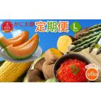 ふるさと納税 野菜類 アスパラガス 北海道 旭川市 先行予約 かに太郎定期便Lセット(アスパラ、メロン、ライオンコーン、白くまコーン、インカの目覚め、鮭い…