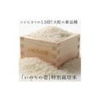 米 入金確認後 2週間で発送 令和7年産 いのちの壱 5kg
