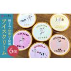 菓子 アイス 種子島アイスクリーム6個入り