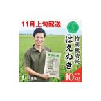 米 はえぬき 令和8年産 精米 特別栽培米 10kg