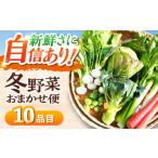 セット 詰合せ おまかせ10種 採れたて 新鮮