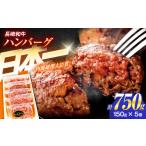 長崎和牛特選ハンバーグ 150g×5個