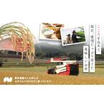ふるさと納税 玄米 北海道 中富良野町 令和7年産 お米ゆめぴりか 10kg(玄米) 玄米