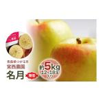 ふるさと納税 りんご 青森県 つがる市 贈答 名月 約5kg 12から18玉入り 糖度15度以上のりんご|令和7年 2025年 ギフト 青森産 津軽 つがる りんご リンゴ 果…