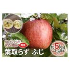 ふるさと納税 りんご 青森県 つがる市  贈答 葉取らずふじ 約5kg 12から18玉入り 園主選抜の特選りんご｜令和7年 2025年 ギフト 青森産 津軽 つがる りんご リ…