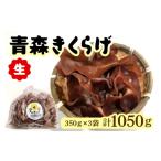 野菜類 きのこ 青森きくらげ 生 350g×3袋入り
