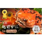 ふるさと納税 カニ ずわいガニ 福井県 越前町  浜茹で 越前がに 1杯（生で1杯700g前後）大人約2人前 食べ応え充分 雄 ズワイガニ かに カニ 蟹 越前ガニ 姿 ボ…