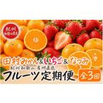 果物類 みかん 3回定期便 2 4 12月 紀州和歌山産旬のフルー…