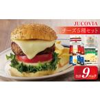ふるさと納税 加工品等 チーズ 大阪府 泉佐野市  ムラカワチーズ JUCOVIA スライスチーズ3種・シュレッドチーズ2種セット 合計9P 食べ比べ セット 詰め合わせ …