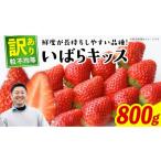 ふるさと納税 いちご 茨城県 牛久市  先行予約 訳あり いちご いばらキッス 800g 《 2026年2月以降発送 》 苺 果物 くだもの フルーツ 不揃い ジャム （茨城県…