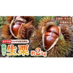 石岡 鶴沼の生栗 約2kg