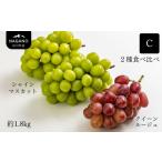 ふるさと納税 ぶどう マスカット 長野県 松川町 KG13-25A ぶどう食べ比べセット 2種 C(シャインマスカット/クイーンルージュ?)約1.8kg 贈答 / 9月下旬頃〜…