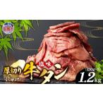 肉 牛タン 厚切り牛タン 塩味 小分け 冷凍 1.2kg