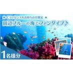 体験チケット 和歌山 田辺 ファンダイブ 2ボート