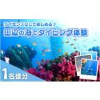 体験チケット 和歌山 田辺 体験 1ボートダイビング