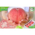 ふるさと納税 自治体�