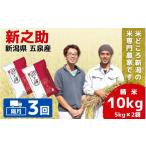 ふるさと納税 米 新潟