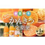 果物類 みかん 全4回 柑橘 定期便 石本果樹園