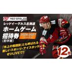 スポーツ観戦 2026-2027シーズン