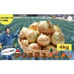 野菜類 玉ねぎ 2026年11月~発送 農家直送