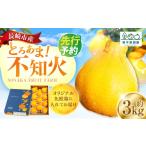 みかん 柑橘類 不知火 約3kgセット 柑橘