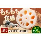 人参 大根 他根菜 \毎年 れんこん 5kg
