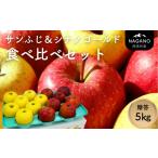 ふるさと納税 りんご 長野県 松川町 MZ14-25A サンふじ&シナノゴールド 食べ比べセット 約5kg 贈答 / 2025年12月中旬〜配送予定 // 長野県 南信州 りんご …