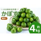 みかん 柑橘類 かぼす4kg 種あり フルーツ