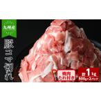 豚肉 カレー シチュー 九州産豚コマ切れ肉 計1kg