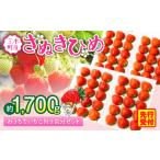 ふるさと納税 いちご 香川県 三木町 2026年発送分 先行受付 『苺音ファームの』おうちでいちご狩り気分セット 〜さぬきひめいちごをいっぱい食べられる大容…