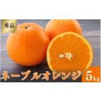 みかん 柑橘類 ネーブルオレンジ 秀品 5kg