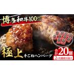 肉 ハンバーグ 2回定期便 博多和牛100%