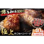 肉 ハンバーグ 4回定期便 博多和牛100%