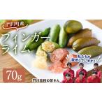 みかん 柑橘類 受付中 予定 産フィンガーライム 70g
