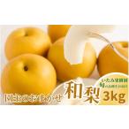 ふるさと納税 梨 新潟県 加茂市 2025年 新潟県産 和梨 おまかせ3kg 7品種から旬の和梨3kgをお届け 園主おすすめ厳選和梨 ( 幸水・秋麗・豊水・あきづき・新…