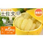 ふるさと納税 みかん・柑橘類 高知県 香南市 土佐文旦 家庭用 5kg 約11玉 - 果物 フルーツ 柑橘 ぶんたん ブンタン おいしい 訳あり キズ 大小混合 特産品 先…