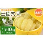 ふるさと納税 みかん・柑橘類 高知県 香南市 土佐文旦 家庭用 10kg 約22玉 - 果物 フルーツ 柑橘 ぶんたん ブンタン おいしい 訳あり キズ 大小混合 送料無料 …