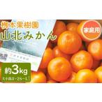 果物類 みかん 柳本果樹園の山北みかん 3kg