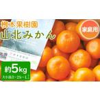 みかん 5kg