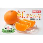 ふるさと納税 みかん・柑橘類 愛媛県 松山市 先行受付 JA特選品 紅まどんな(青秀L〜3L 約3kg) みかん ミカン 蜜柑 果物 くだもの まどんな フルーツ 高級 …