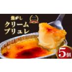 ふるさと納税 菓子 アイス 高知県 須崎市 濃厚 焦がしクリームブリュレ 5個 冷凍 アイス プリン カタラーナ スイーツ デザート 卵 お菓子 洋菓子 焼き菓子 氷…