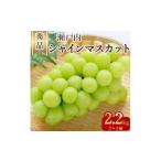 ぶどう マスカット シャインマスカット 3~5房 約2.2kg